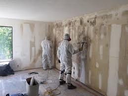 Mold Remediation for Rental Properties in Forked River, NJ